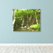 Frazier Discovery Trail in Shenandoah-fotografie Canvas Afdruk (Insitu (Houten vloer))