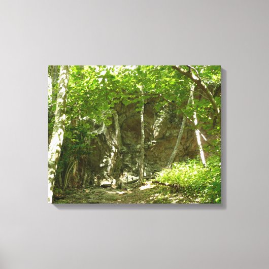 Frazier Discovery Trail in Shenandoah-fotografie Canvas Afdruk (Voorkant)
