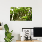 Frazier Discovery Trail in Shenandoah-fotografie Poster (Thuiskantoor)