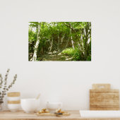 Frazier Discovery Trail in Shenandoah-fotografie Poster (Keuken)