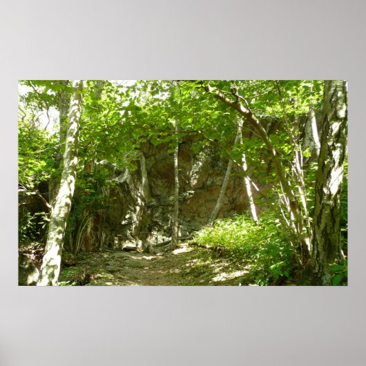 Frazier Discovery Trail in Shenandoah-fotografie Poster (Voorkant)