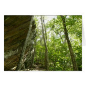 Frazier Rock Wall in Shenandoah National Park (Voorkant Horizontaal)