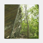 Frazier Rock Wall in Shenandoah National Park Magneet (Voorkant)