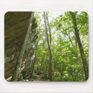 Frazier Rock Wall in Shenandoah National Park Muismat