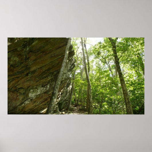 Frazier Rock Wall in Shenandoah National Park Poster (Voorkant)