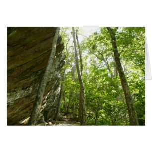 Frazier-rotswand in Shenandoah National Park