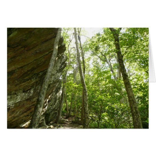 Frazier-rotswand in Shenandoah National Park (Voorkant Horizontaal)