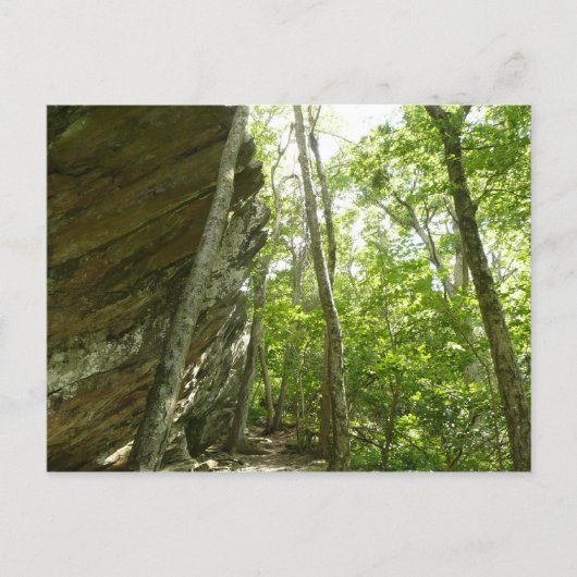 Frazier-rotswand in Shenandoah National Park Briefkaart (Voorkant)