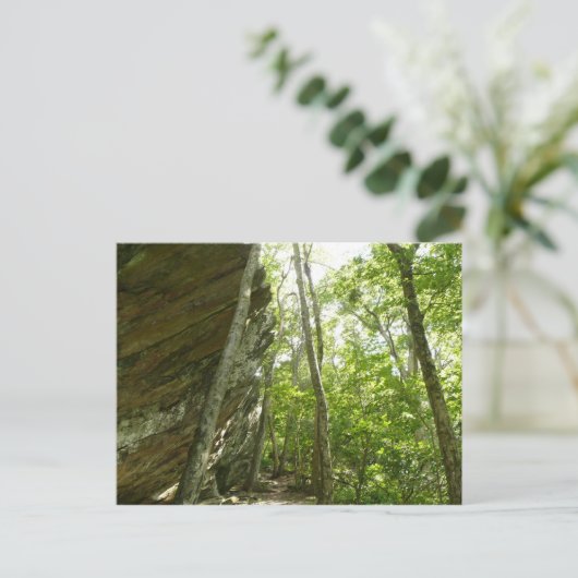 Frazier-rotswand in Shenandoah National Park Briefkaart (Staand voorkant)