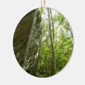 Frazier-rotswand in Shenandoah National Park Keramisch Ornament (Links)
