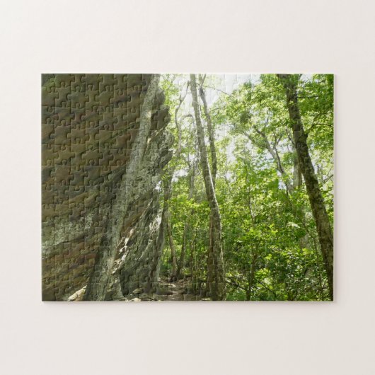 Frazier Rotswand in Shenandoah National Park Legpuzzel (Horizontaal)