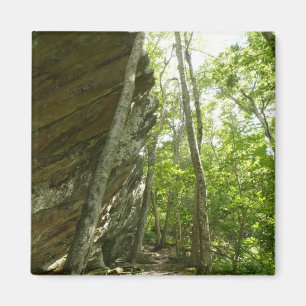 Frazier Rotswand in Shenandoah National Park Magneet