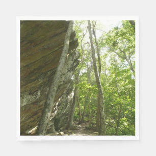 Frazier Rotswand in Shenandoah National Park Servet