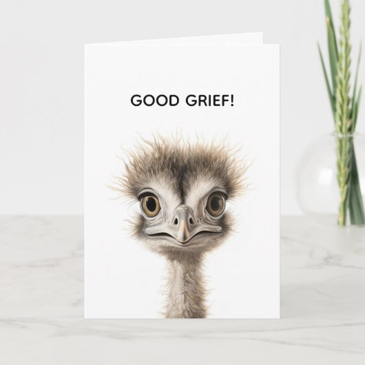 FRAZZLED BELATED BIRTHDAY CARD BEDANKKAART (Voorkant)