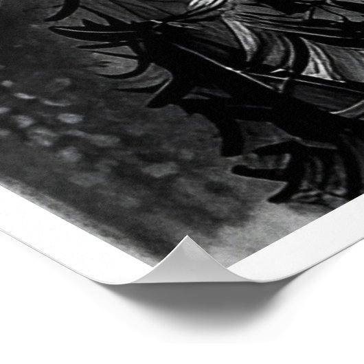 Frazzled Cat Tekening - Kunstdruk Poster (Hoek)