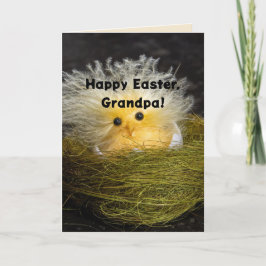 FRAZZLED CHICK GRANDPA EASTER KAART