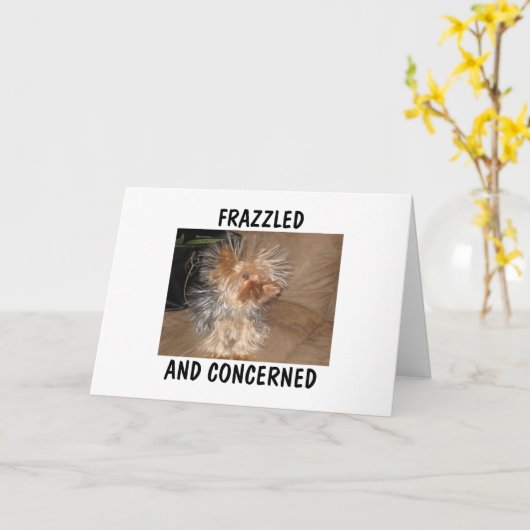 FRAZZLED EN BEZORGD KAART (Gele Bloem)
