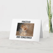 FRAZZLED EN BEZORGD KAART (Voorkant)