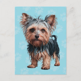 Frazzled Yorkie Dog Briefkaart Yorkshire Terriër