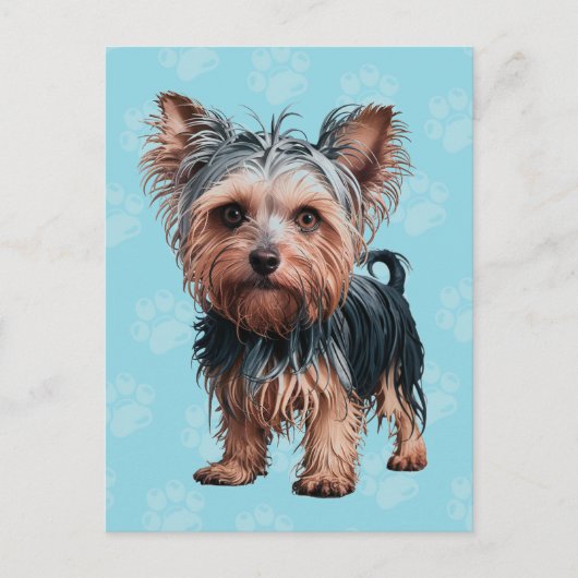 Frazzled Yorkie Dog Briefkaart Yorkshire Terriër (Voorkant)