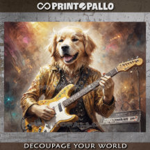 Freak Golden Retriever gitaar spelen bij concert -