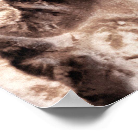 Freak-Show Poster (Hoek)