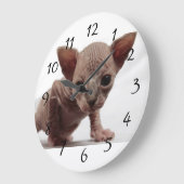 Freaky Cute Furless Sphynx Kitten Grote Klok (Hoek)