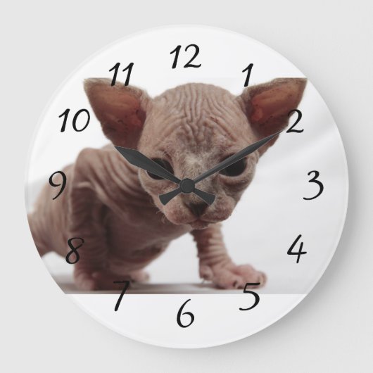 Freaky Cute Furless Sphynx Kitten Grote Klok (Voorkant)