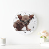 Freaky Cute Furless Sphynx Kitten Grote Klok (Huis)