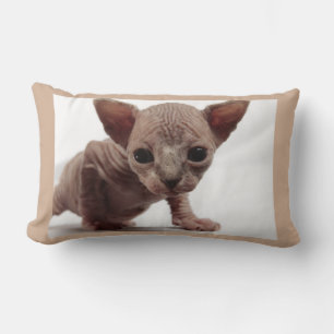 Freaky Cute Furless Sphynx Kitten Kussen