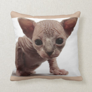 Freaky Cute Furless Sphynx Kitten Kussen