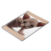 Freaky Cute Furless Sphynx Kitten Notitieboek (Linkerzijde)