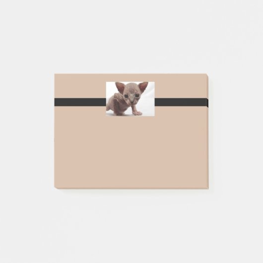 Freaky Cute Furless Sphynx Kitten Post-it® Notes (Voorkant)
