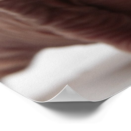 Freaky Cute Furless Sphynx Kitten Poster (Hoek)