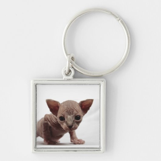 Freaky Cute Furless Sphynx Kitten Sleutelhanger (Voorkant)