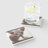 Freaky Cute Furless Sphynx Kitten Stenen Onderzetter (Zijkant)