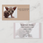 Freaky Cute Furless Sphynx Kitten Visitekaartje (Voorkant / Achterkant)