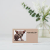 Freaky Cute Furless Sphynx Kitten Visitekaartje (Staand voorkant)