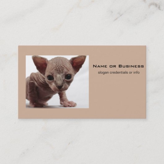 Freaky Cute Furless Sphynx Kitten Visitekaartje (Voorkant)