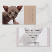 Freaky Cute Furless Sphynx Kitten Visitekaartje (Voorkant / Achterkant)