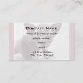 Freaky Cute Furless Sphynx Kitten Visitekaartje (Achterkant)