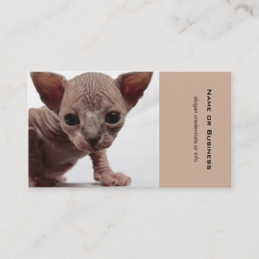 Freaky Cute Furless Sphynx Kitten Visitekaartje (Voorkant)