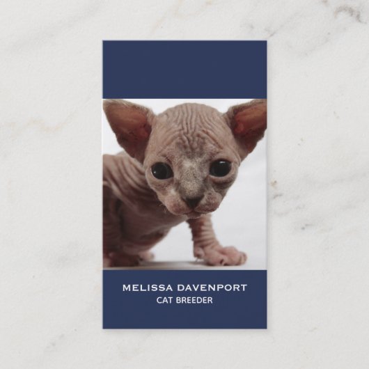 Freaky Cute Furless Sphynx Kitten Visitekaartje (Voorkant)