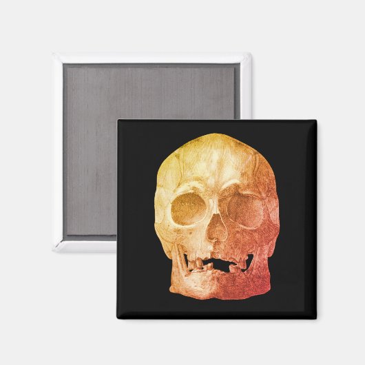 Freaky Skull Magnet (Voorkant / Achterkant)
