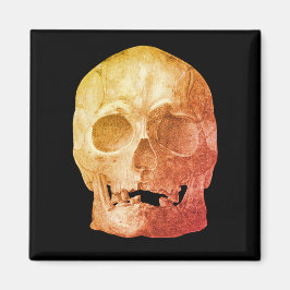 Freaky Skull Magnet