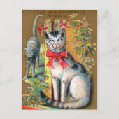Frears Cat Trade Card #1 (van 6) Briefkaart (Voorkant)