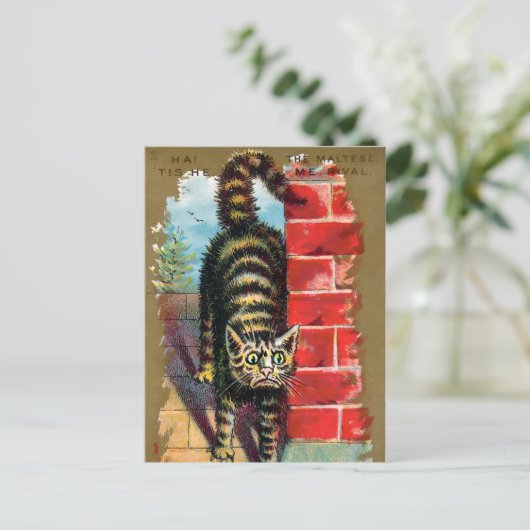 Frears Cat Trade Card #2 (van 6) Briefkaart (Staand voorkant)