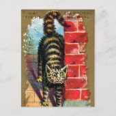 Frears Cat Trade Card #2 (van 6) Briefkaart (Voorkant)