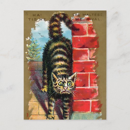 Frears Cat Trade Card #2 (van 6) Briefkaart (Voorkant)