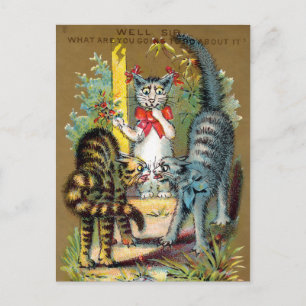 Frears Cat Trade Card #3 (van 6) Briefkaart